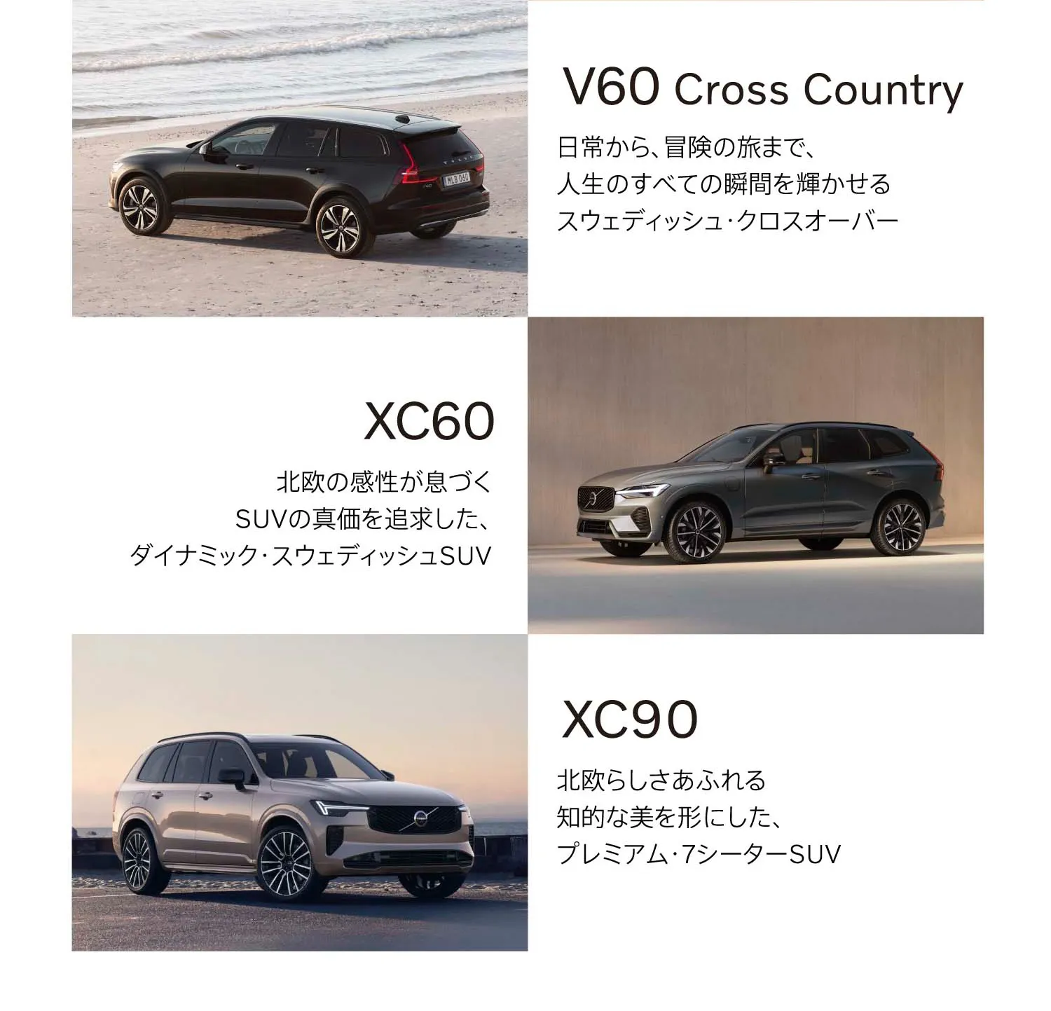 キャンペーンに応募する